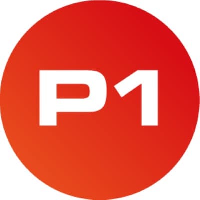 P1 Security logo