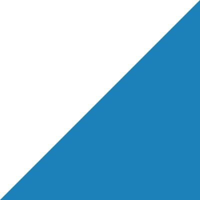 PRECISIONvalue logo