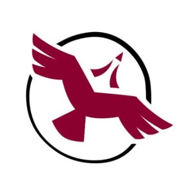 Shared Value Solutions Ltd. logo