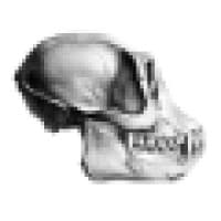 Zoic Studios logo