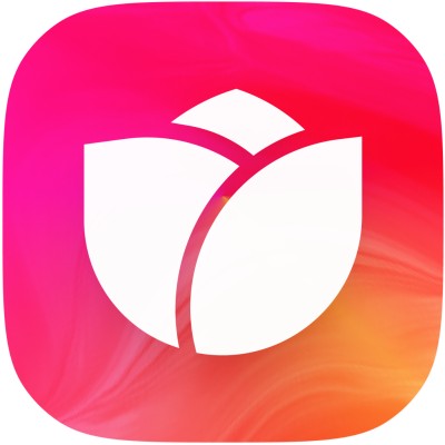 Bloom logo