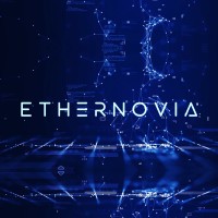 Ethernovia logo